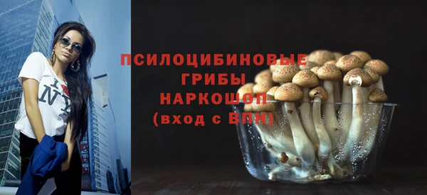 дурь Алексин