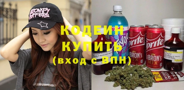 дурь Алексин