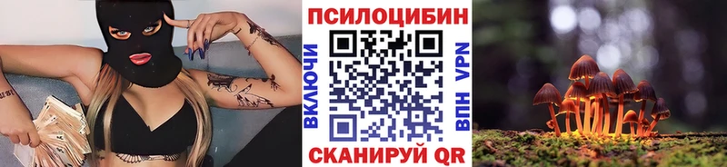 Купить закладки Бородино Галлюциногенные грибы Cubensis