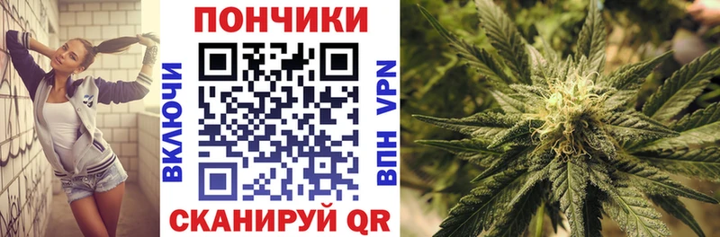 Конопля Ganja  Купить где  Бородино 